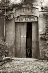 Gelateri