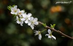 Primi spunti di primavera