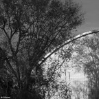IMGP0983