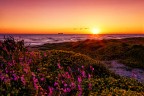 Tramonto Primaverile in Spiaggia