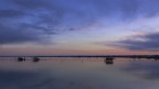 valli di comacchio