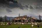 Campagna