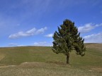 windows wallpaper invernale