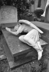 Foto realizzata al cimitero acattolico, nel rione Testaccio, a Roma.