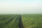 paesaggio