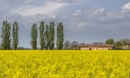 _MG_5676