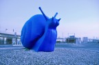 Lumaca in blu