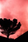 I colori non sono  stati alterati; la foto  stata scatta con un Adox CHS 100