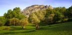 Monte Tre Pizzi, Aspromonte, si eleva sui campi d'ulivi, simbolo delle terre di Calabria