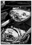 Riflessi motori