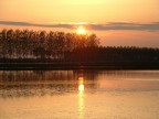 risaia al tramonto
