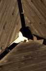 Vita nel legno