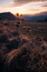 Nikon D200 + Tokina 12-24: 12mm, f11, 1/30sec., iso 100.
Ultima ultima...
