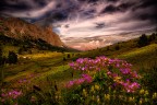 Passo falzarego
