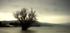 lago di Bracciano
