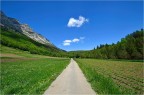 Verso il bosco
