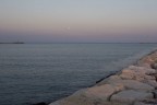 Immagine scattata con tramonto alle spalle, 20D con 28-135 IS USM, nessun lavoro di postwork. Lo scatto e' stato eseguito in RAW e convertito in jpg. Ciao e grazie a tutti per i commenti. Ah ditemi una cosa, non vi sembra ci sia un po troppa grana per aver scattato a 100ISO? GRAZIE
