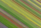 Come Missoni