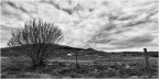 Collecroce di Nocera Umbra (PG) #3