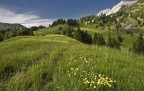 fiori,aria, rocce