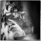 al trucco