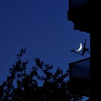Satelliti