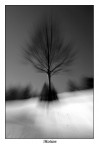 Motion