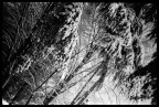 neve notturna