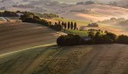 IMG_2660