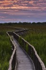 date un occhiata molto interessante per i fotografi di avifauna...

http://www.lipu.it/oasi-naturale-di-massaciuccoli