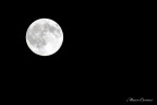 Nikon d3100 70-300
1/500
f.16
iso 100

dopo una lunga inattivit
