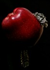 esperimento di still life