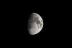 Luna |)