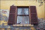 Gradara 002