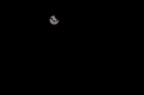 Eclissi solare 2015