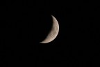Falce di luna