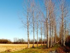 inverno il lombardia