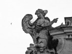 Angel and Bird