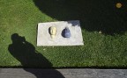 Arte in giardino