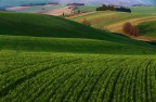 stavo per usare il cestino decidete voi