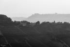 Barolo B&W Barolo B&W