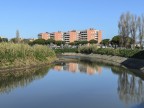 Riflessi cittadini