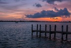 Tampa Sunset