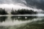 Lago di Dobbiaco, Agosto, ore 6.00