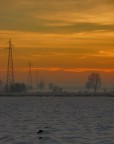 Nebbia radente e colri forti