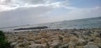 variabile tra la terra e' il mare....