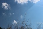 st