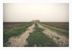 nebbia fine art