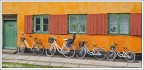 Family bike