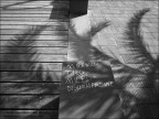 Graffiti
